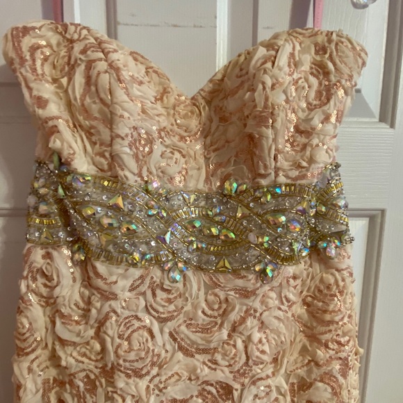 Blush Prom Dress- size 12 - Picture 2 of 2